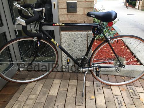 Fuji Arcadia  technische daten 